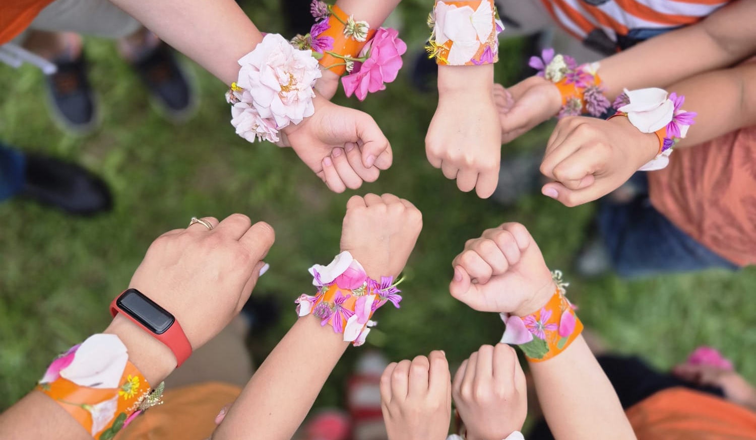 Asociația WERT