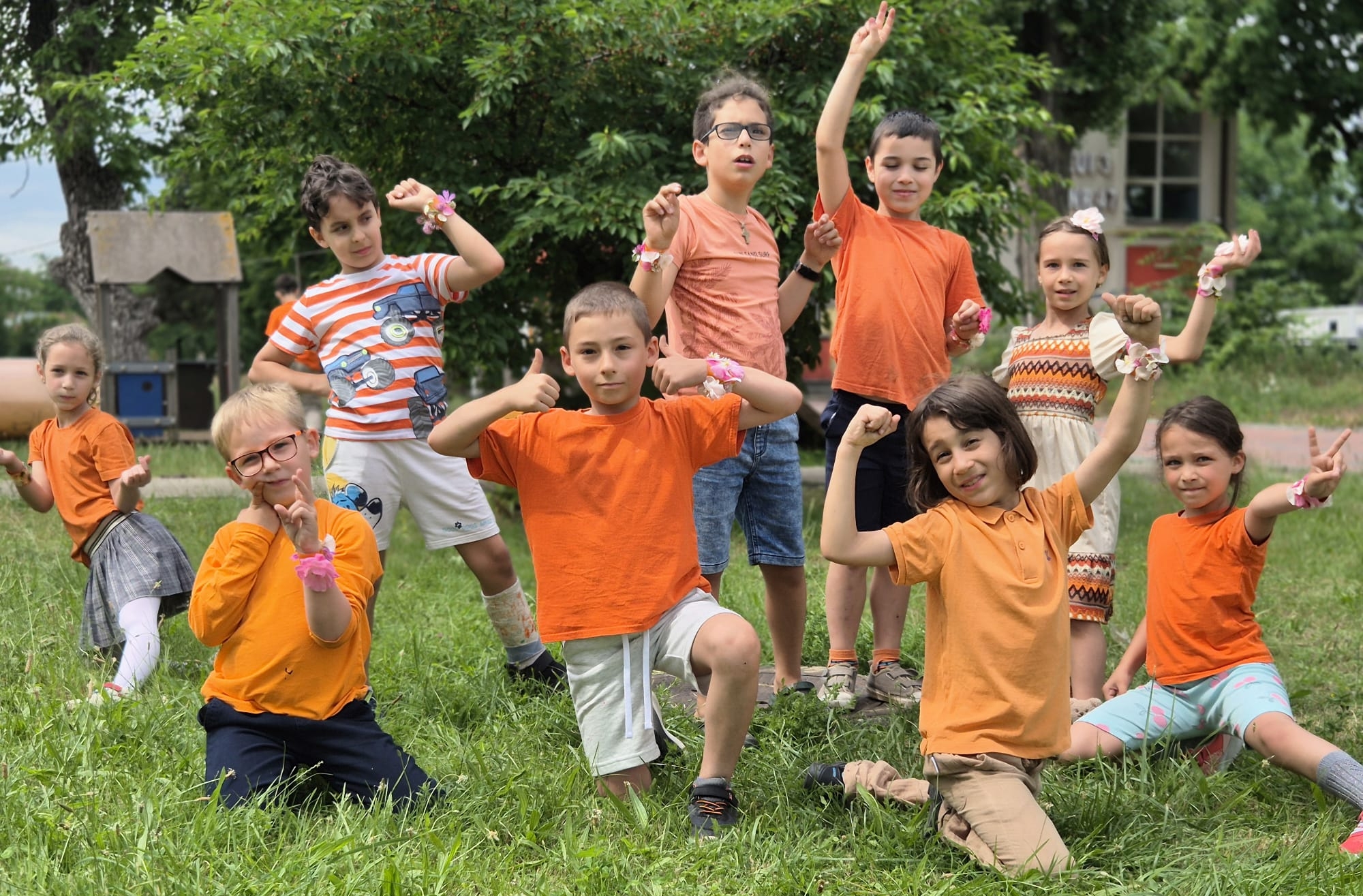 Oferta educațională Școala Waldorf Ilios București - învățământ alternativ de stat